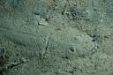 Nachttauchgang - ein flacher Fisch im Sand versteckt